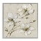 Stupell Industries Neutral Tone Dogwood Flowers Framed Giclee Design by Sally Swatland